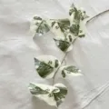 Ramo di foglia di monstera variegata artificiale ideale per la decorazione d'interni. - Verde scuro
