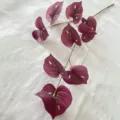 Ramo di monstera artificiale viola, stelo di pianta finta per decorazione d'interni. - Viola