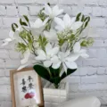 Bonsai di fiori di magnolia artificiali bianchi per la decorazione d'interni della casa. - Bianco