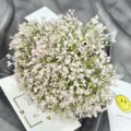 Artificial Gypsophila bouquet 12 forks fake flowers wedding home decoration photography props - Light Pink