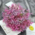 Artificial pink baby's breath flower bouquet, detailed view of floral arrangement props. - Purple