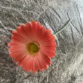 Single piece PU artificial gerbera daisy flower for wedding party and home living room decor. - Size 6