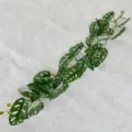 Artificial Monstera Plant Vine 1.2m Green Leaf Creeper Hanging Garland Decor for Room Wall - Swiss Cheese Plant Leaf Vines