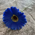 Single piece blue PU gerbera artificial flower for home decor wedding floral arrangement - Size 14