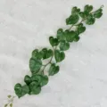 Artificial green plant vine for wall and ceiling decoration, 1.2m long artificial monstera leaf - Monstera Leaf Vine, Green
