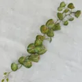 Artificial green vine plant 1.2m hanging foliage for home room wall decor ceiling pipe decoration - Mirror Leaf Vines