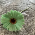 Single branch artificial green PU gerbera daisy flower for home and wedding floral decoration - No. 21