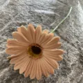 Single artificial soft rubber gerbera daisy PU flower stem for home wedding decor display - No.23