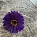 Single piece PU gerbera daisy artificial flower for home decor and wedding arrangement. - No. 24