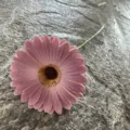 Single piece PU gerbera daisy artificial flower for home decor wedding party floral arrangement pink - No. 26