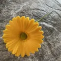 Single PU gerbera daisy artificial flower yellow home decor wedding floral arrangement - No. 28