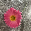 Single artificial PU gerbera daisy flower pink fake floral stem for home wedding decor. - No. 29