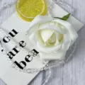 White artificial velvet rose flower head for wedding party and event decoration item - White