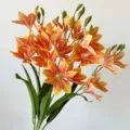 Dettaglio del bouquet di fiori artificiali di magnolia con petali arancioni vivaci e foglie verdi. - N. 9 arancione
