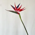 Artificial bird of paradise flower detail, silk floral decor for home restaurant photography. - L / Red