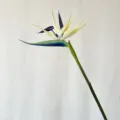 Artificial bird of paradise flower detail, realistic fake flower stem for home decor and photo props. - L / Dark Blue