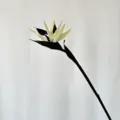 Artificial bird of paradise flower single stem black and white for home decor photography. - S / Black