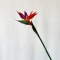 Artificial Bird of Paradise flower home decor table centerpiece photography prop faux floral - S / Orange Red