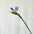 Artificial blue bird of paradise flower single stem for home decor and photography prop. - S / Light Blue