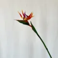 Close-up detail of artificial bird of paradise flower stalk, realistic floral decor piece. - S / Sunset Orange