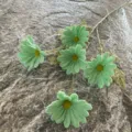 Branche de marguerite artificielle en PU, touche douce fleur verte pour deco maison mariage. - N° 21