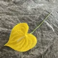 Artificial yellow anthurium flower stem PU robust decorative floral piece for home - Bright yellow