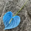 Single branch artificial blue PU anthurium flower realistic plant home decor photography prop - Blue