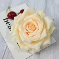 Artificial cream rose flower head closeup showing delicate fabric petals for wedding decor. - Dark Champagne