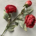 Vista detallada de una rama de flor de peonía roja artificial con hermosas hojas verdes - Rojo