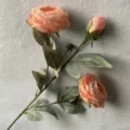 Künstlicher Pfingstrosen Zweig Detailansicht, rosa Blütenkopf und grüne Blätter Heimdeko. - Nude Rosa
