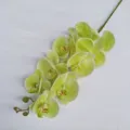 3D printed artificial phalaenopsis orchid single stem fake flower for home decor. - 9 Heads / 01
