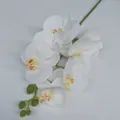 Detailed view of 3D printed artificial phalaenopsis orchid branch with white flowers and buds. - 7 Heads / Style 08