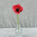 Artificial red poppy flower PU mini artificial flower for home decor and photography prop. - Dark Red