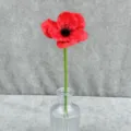 Artificial red poppy flower with glass vase for home decor, wedding, and photography props. - Bright Red