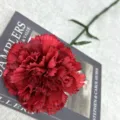 Fausse œillet rouge foncé tige unique pour décoration de maison accessoires de photo. - Rouge Vif
