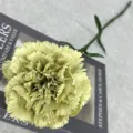 Fausse fleur d'œillet verte artificielle pour la décoration de maison et arrangement floral. - Vert Haricot