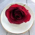 Artificial red rose head detail view for table decoration, wedding floral arrangement and DIY crafts. - Dark Red