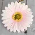 Fiore di margherita rosa artificiale simulazione decorazione murale ghirlanda finto fiore - Rosa chiaro