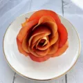 artificial flower close up orange rose petal decor studio prop fine detail shot macro - Orange