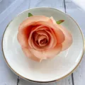 Close-up detail of artificial peach rose flower head, fabric craft material for wedding decor. - Light Orange