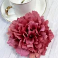 Artificial peony flower detail shot, dark pink silk floral decor for wedding and home decoration. - Dusty Pink