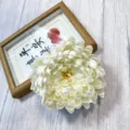 White artificial chrysanthemum flower head detail for home hotel decor and floral arrangement 1pc - White