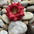 Gros plan de fleur de rose artificielle rouge, pétale en tissu pour déco de mariage DIY. - Rouge