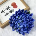 Detailed close-up of artificial blue chrysanthemum flower head, perfect for floral arrangement. - Blue