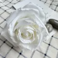 White artificial rose flower head fabric fake flowers for wedding party decor home supply - White