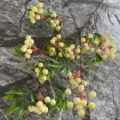 Artificial yellow berry branches fake fruit stems home floral decoration arrangement - Cream