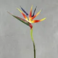 Artificial bird of paradise flower single stem for home decor and floral arrangement. - L / Sunset Orange