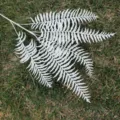 Artificial white fern leaf detail view for home decor and wedding floral arrangement - White