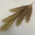 Artificial cycad leaf detail shot, gold palm plant branch for Nordic home decor and floral arrangement. - Dried Grass Green