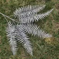 Detail view of artificial silver fern leaf branch for home decor and wedding floral wall arrangements. - Coffee Gold